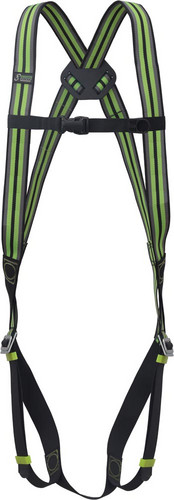 Artikelbild